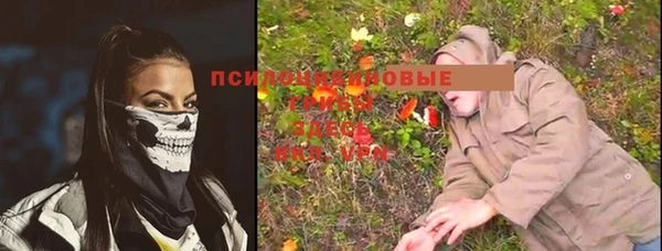крисы Ладушкин