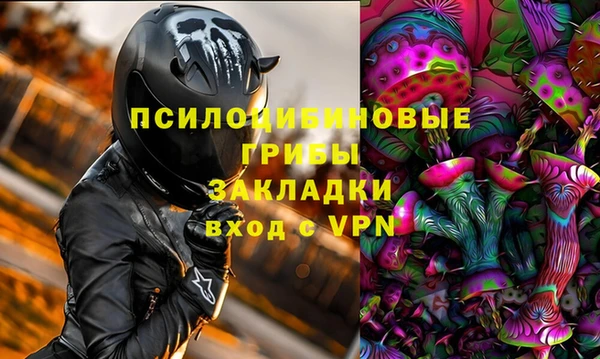крисы Ладушкин