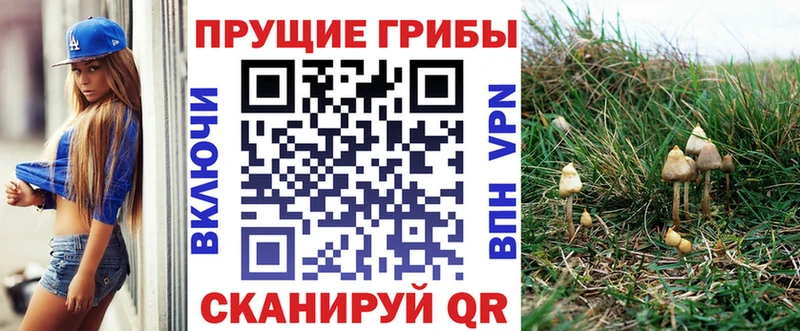 Псилоцибиновые грибы Cubensis  Туран 